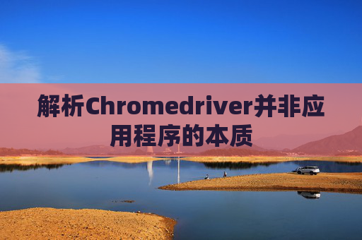 解析Chromedriver并非应用程序的本质
