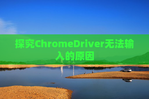 探究ChromeDriver无法输入的原因
