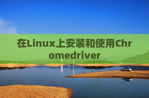 在Linux上安装和使用Chromedriver